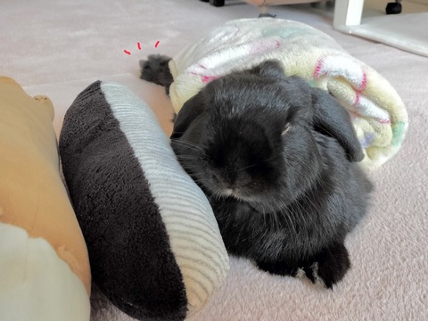 61C49997-9BD2-4FF2-AD8D-A2B7C4D8D5A3