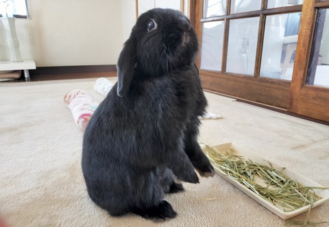 8B5E9E77-BEE5-48A9-9911-A4E0343A3561