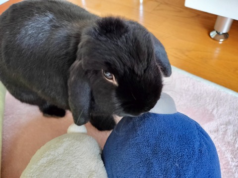 A2D35C68-CB92-417F-B7B9-71C702976C1A