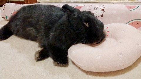 CB076B21-EA46-4F64-BE93-CC9DEE0D4499