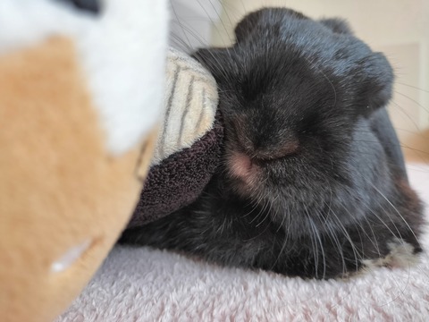 DDFF8243-ECE4-4DFF-AAB4-E45DD1DDADD9