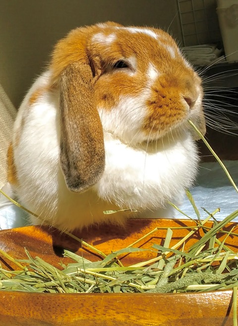 A45697B7-4524-4BF9-B452-41534653BECB