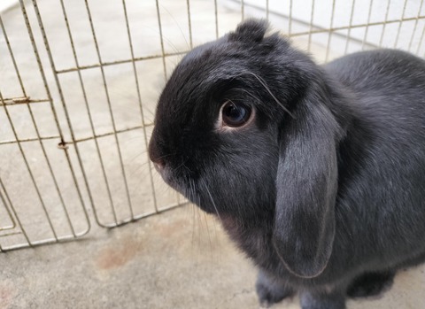 F1C98923-B44C-4C06-A280-C6506BC2F8A7