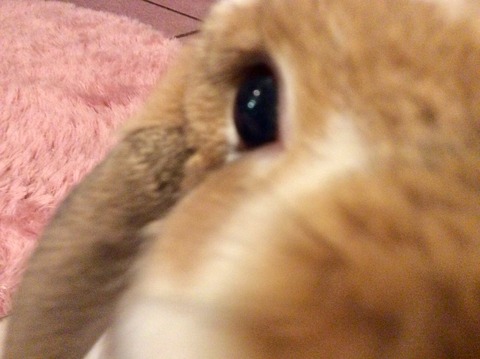 FC22A2D4-3A64-439B-9956-71D99A5948F7