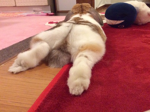 E0BACC3A-8AD1-420A-B7FA-4E35D0A492F8