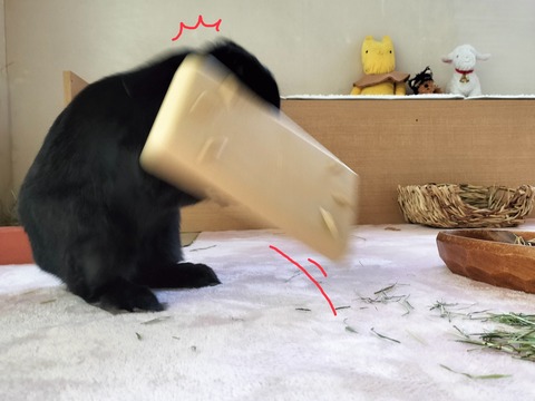 720BD391-D2BC-4CC3-8388-BEAA2D786919