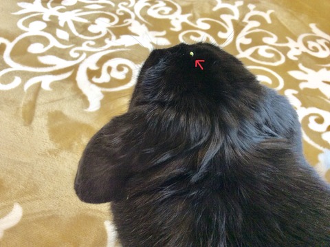 EFE7D943-BE17-460B-AD1E-32F6A6543180