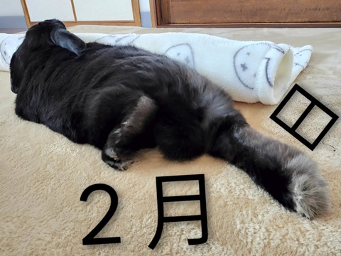 58C96CD6-66B3-4C84-AB63-49B6B49FC2DD