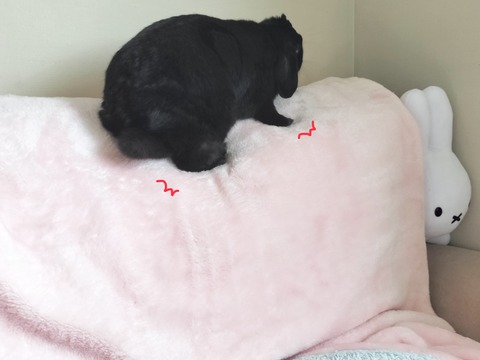 118E5FE8-6604-4034-9D49-5A101E67567C