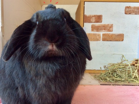 32CCE9CC-7734-4AC7-A34F-C5A48CE30AC0