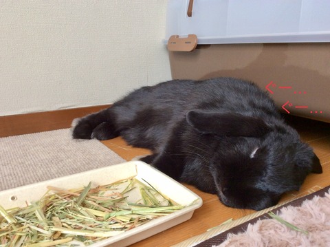 DCA30094-BFC7-4975-A25A-780F88C0DDA6