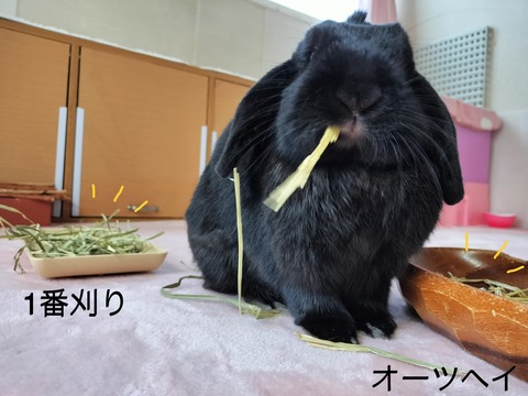 17DE92D8-69B0-4574-A930-E4DA5E6617A2