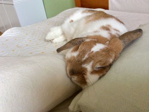 69044811-16D3-4D3A-8FD8-C84254266C7E