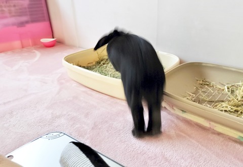 5669CC20-F365-4F4F-8A67-53D9052932C5