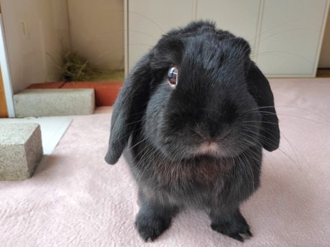 A1F75919-A754-489A-85C1-42B5A6EC364C