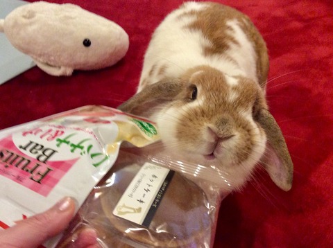 25BAF28E-3FC4-4D33-9B53-E75ACFC240B5