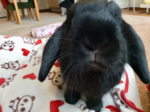 6D356305-2C28-485E-A931-7D0DFBCDC2FE