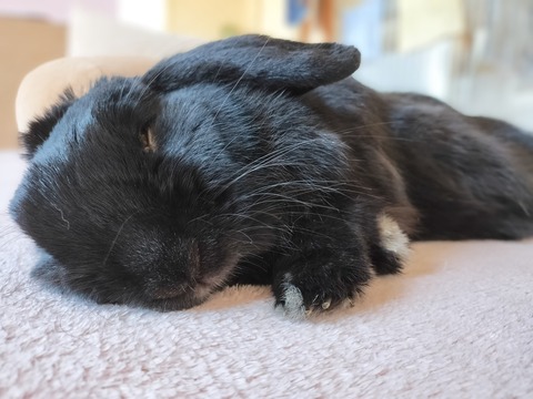 B7EAE60E-21AD-4921-96E8-0D4F2DB57BC3