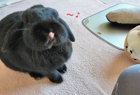 1B135697-1D78-4211-8B81-F41449748B75