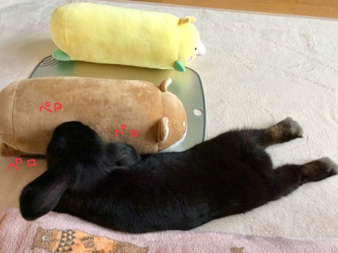 03C67B50-A0CE-41A8-B749-1EC88861C5B6