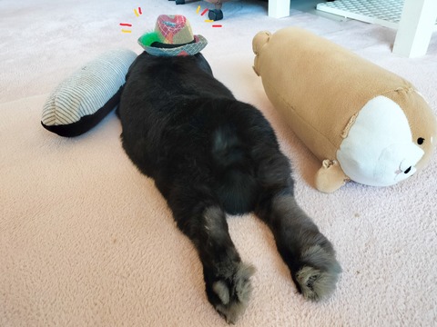 AD2B49B1-5A11-4CE7-BE47-0B1FEAA84FF1