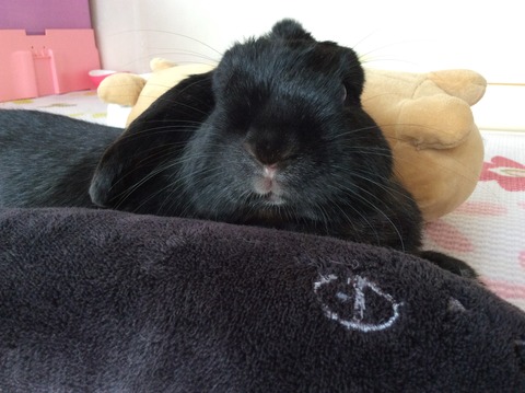 14DC5E52-8CD8-4D78-B150-5551F2CB4214