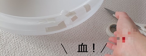 50605A2F-2BAF-4FA6-961C-B326329BD84E