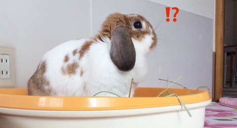 CE4C633D-0B18-46FA-8889-DE9792A59303