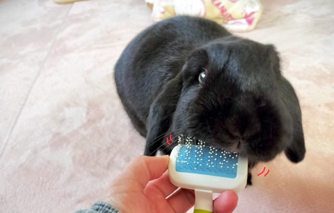 023AAEC7-4525-4612-A30E-8FD8E97F0177