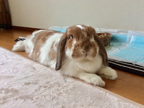 EBB860FF-8CA4-4D86-9079-A72CB80EEFD5