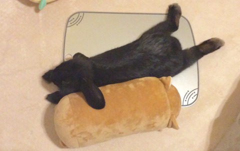 088CF471-B9C4-450A-A1BC-94E77809E309