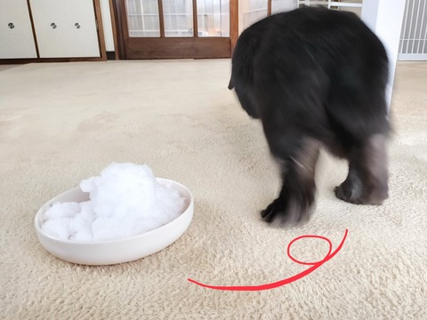 808F4144-0C28-405A-81CA-AB043B10A770