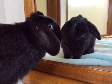 69EBDE60-2DF9-4897-95BD-CDCB428BB962