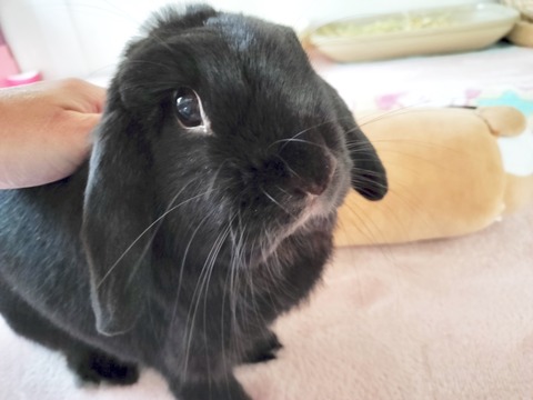 DFEBCF03-640A-44AC-91AB-57E164AC1475