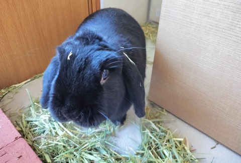 6304FACA-D845-443B-A447-FC1A7A764E4D