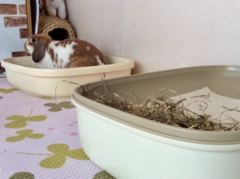 25BAE94E-DA97-4E7E-8D8F-FAAB2998E686