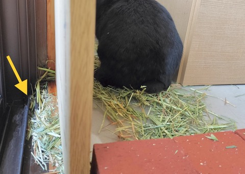 BC0A66B7-6795-45F2-B7E8-CD5934A8B787