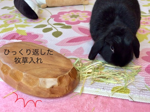 BF6E6A0E-41DD-4BC6-B420-82B70CCF8C28