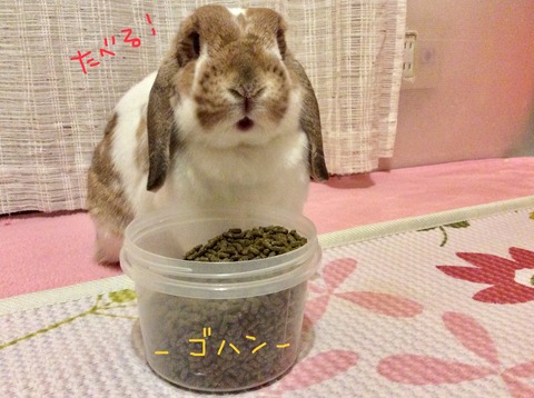 73EBC4B9-B2C2-47CD-B8E1-B72E68E7E900