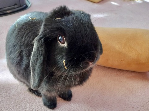 37EB6F7D-C8B3-4BE9-B02E-6BECECA9278B