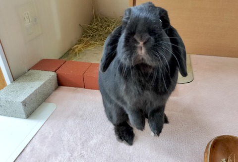 35A5BB44-1D4A-4A02-AABE-2F79D4BF8232