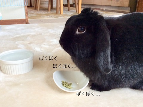 179B43C3-486C-4D49-B19E-82B509B6B148