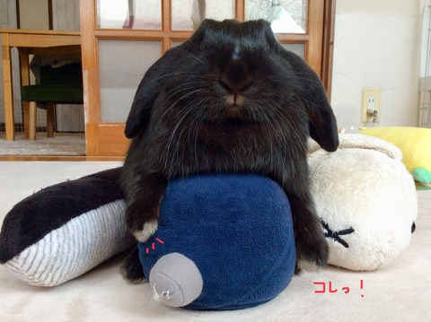 3B179F0C-2ABB-4BA1-9F53-63F73BCFDFF4