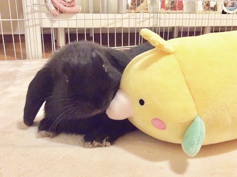 B1648831-E6EF-4AF5-8B7E-C9234214D528