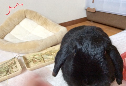 BAC66E9E-A4E4-4EC3-978C-20C69D6D9129