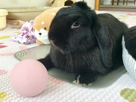 BFBAB73E-58A0-43D5-95DD-19208079AEAA