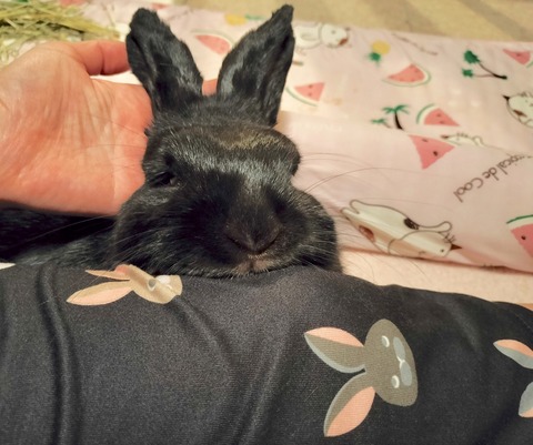 655B03C5-7562-4975-8F18-DD91183455FF