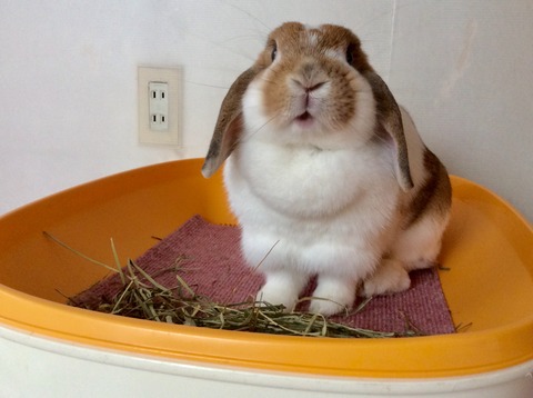 94C063C7-888D-4D0C-BE6B-4261493D04C3