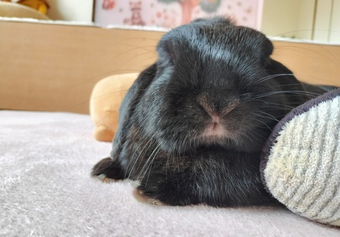 214D90EF-5317-4893-AE49-64E6C83BBAD6