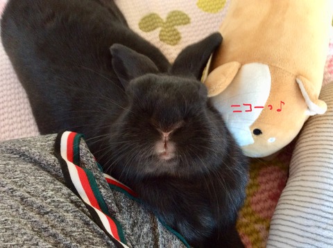 5308BA54-9A31-4DC6-80F0-170490ECAB02